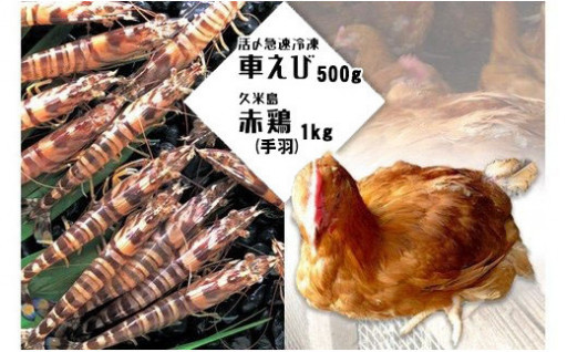 活〆急速冷凍車えび500g・久米島赤鶏 1kg