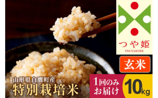 【玄米】つや姫 10kg（特別栽培米）