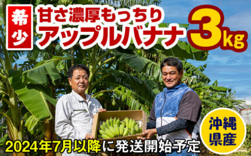 【希少】沖縄県産 アップルバナナ 3kg