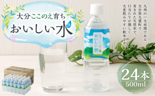 大分ここのえ育ち おいしい水 500ml×24本