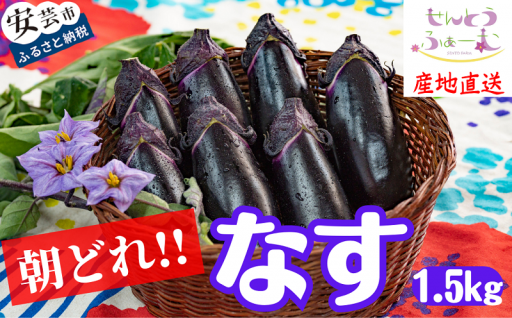 高知県安芸市産の新鮮ナスをお届けいたします！