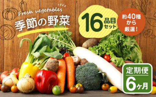 【定期便6回】季節の野菜 16品目 セット