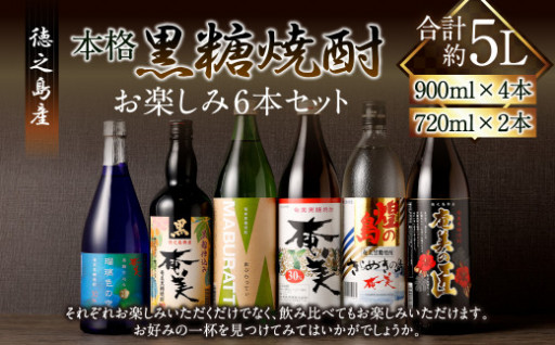 奄美酒類 本格 黒糖焼酎 お楽しみ 6本セット 900ml×4本 720ml×2本