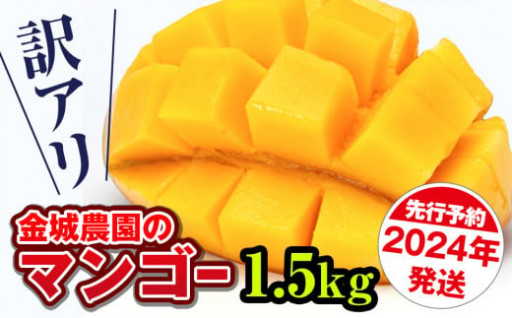 【訳あり】沖縄産 マンゴー 1.5kg