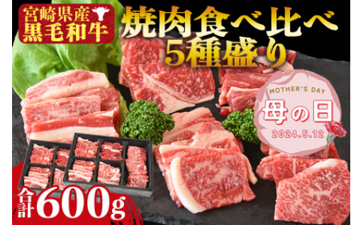 宮崎県産黒毛和牛 焼肉食べ比べ 5種盛り 2セット 合計600g（4種各50g×2＋モモ100g×2）
