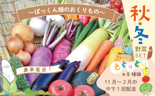四万十市産　秋・冬野菜セット（約5種類）