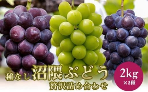 3種類の沼隈ぶどう贅沢詰合せ3種各2kg