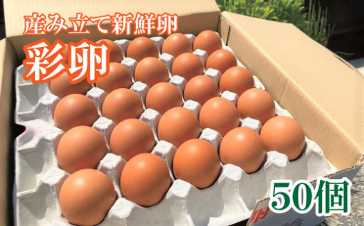 井原養鶏の産みたて新鮮卵　50個
