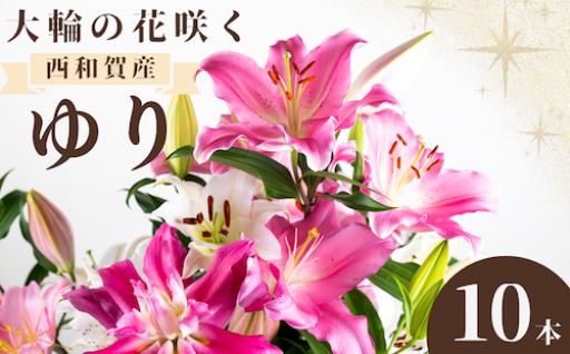 先行予約開始！「大輪の花を咲かせる」西和賀産ゆり
