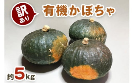 [訳あり] 有機かぼちゃ(約5kg) 