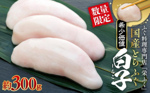 数量限定 ふぐ料理専門店 『栄ふく』 国産 とらふぐ 希少価値 白子 約300ｇ