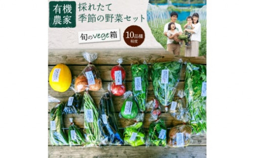 有機農家の採れたて季節野菜のセット旬のvege箱