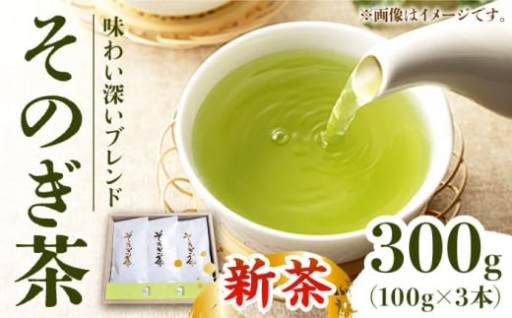 【2024新茶】勝野製茶／そのぎ茶 100g×3袋入り
