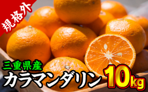【規格外】三重県産　カラマンダリン（カラーオレンジ） 10kg【限定500セット】みかん 柑 オレンジ 果物 