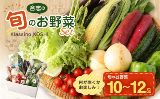 合志の旬のお野菜セット 10～12品