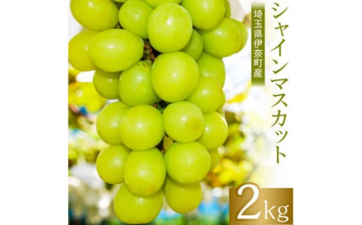 埼玉県伊奈町産シャインマスカット2kg