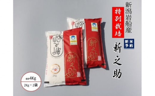 【新米受付・令和6年産米】特別栽培米 新之助 4kg