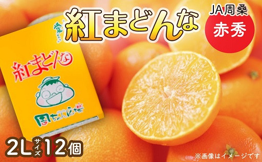 人気の「紅まどんな」先行予約を開始！数量限定！