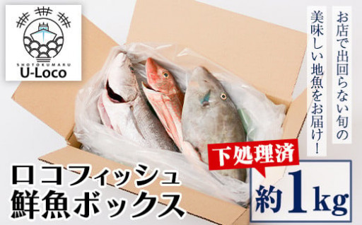 ロコフィッシュ下処理済 鮮魚ボックス(約1kg)