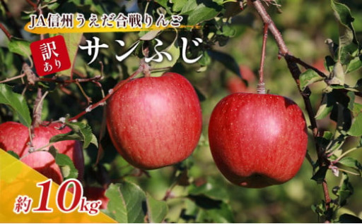 【受付開始】JA信州うえだのリンゴ、ブドウ