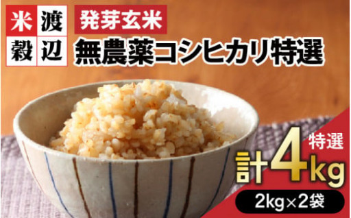 【特選】発芽玄米🌾無農薬コシヒカリ【特別栽培米】