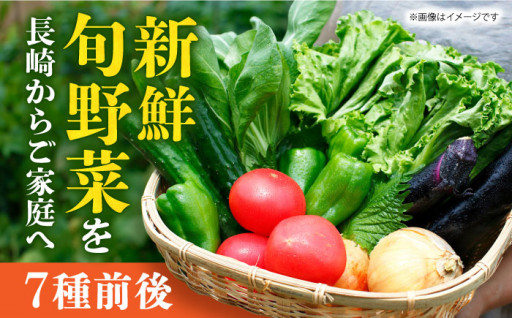 新鮮旬野菜を長崎からご家庭へ！　長崎県産野菜詰合せ