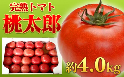 天空の里【平林産】トマトをぜひご賞味ください！