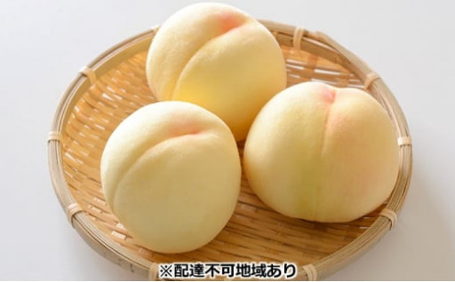 ご家庭用 清水 白桃 約2kg（6～8玉） 