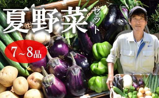 【予約】上野さんちの元気夏野菜セット