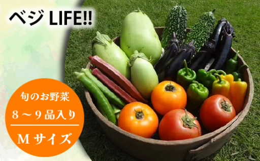 ベジLIFE!!　新鮮 旬の野菜セット　Mサイズ／Lサイズ