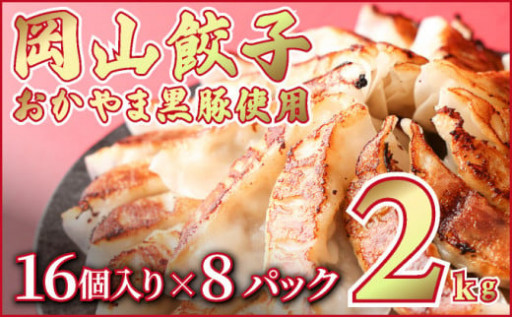 岡山餃子 晴黒豚と野菜16個×8パック 128個