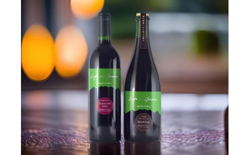 赤ワインとスパークリングワインの２本セット 