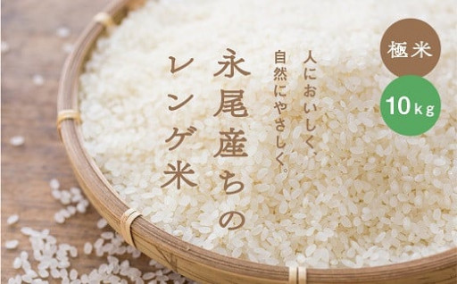 【極米】農家直送1年がかりのれんげ米10㎏🌸