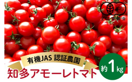 有機栽培ミニトマト　知多アモーレトマト　