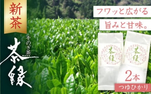 【2024新茶】東坂こくまる商店／そのぎ茶「つゆひかり」100g×2袋