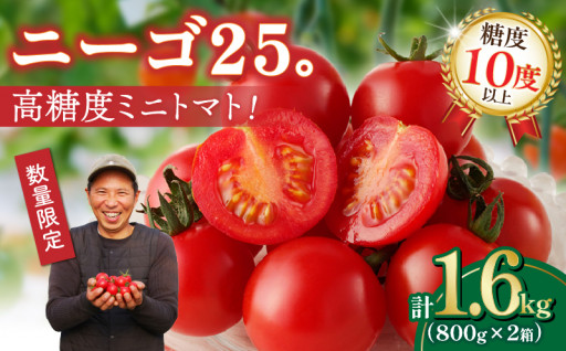 締め切り迫る‼【宮崎県都農町から】🍅🍅トマト🍅🍅