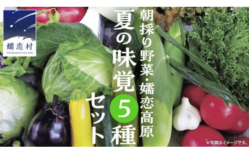 ＼新規返礼品をご紹介／朝採り野菜 嬬恋高原 夏の味覚5種セット