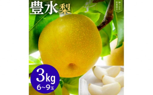 【豊水3kg】かまがや育ちの完熟梨6～9玉
