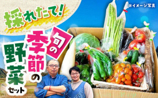 農家自慢！季節の野菜セット