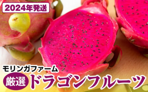 沖縄産 ドラゴンフルーツ 1.5kg