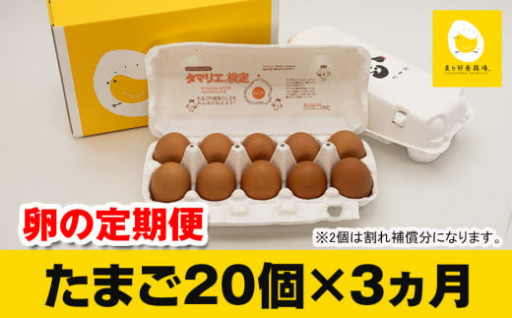 美ら卵養鶏場の新鮮で濃厚な卵／3ヵ月連続 各月20個