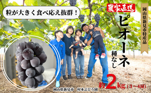 村本ぶどう園 ピオーネ 約2kg 3～4房