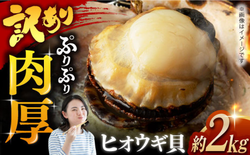 【大粒貝柱！】サイズが違っても品質・おいしさは変わらない！　長崎県産ヒオウギ貝