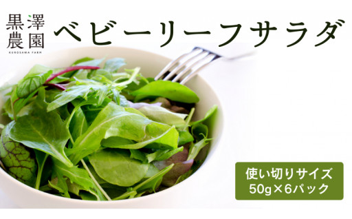 ＼新鮮生野菜！／ベビーリーフサラダ 使い切りサイズ（ 50g × 6パック ）