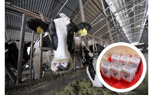 昭和村の牧場発、プレミアム乳製品詰め合わせ