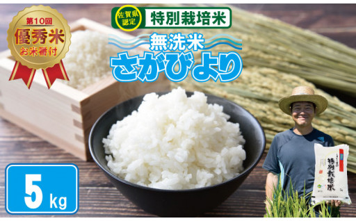 特別栽培米 さがびより 無洗米 5kg 