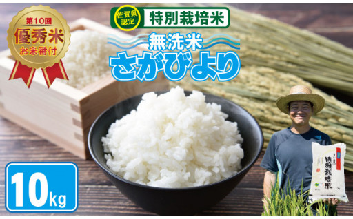 特別栽培米 さがびより 無洗米 10kg