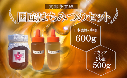 日本みつばちの蜂蜜600ｇとアカシア又はとち蜜500ｇ