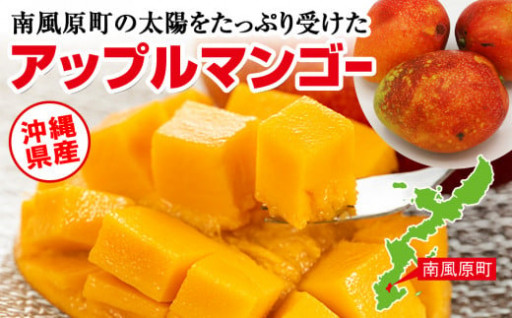 【訳あり】沖縄産 アップルマンゴー 1.5kg