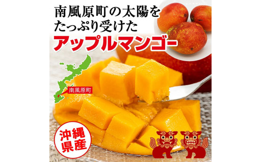 【家庭用】沖縄産 アーウィンマンゴー 1.5kg